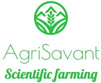 AgriSavant-scientific farming logo