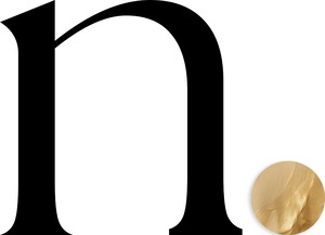Symbol representing the letter ‘N’ logo