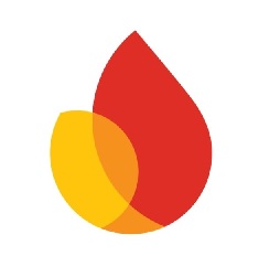Flame Device logo