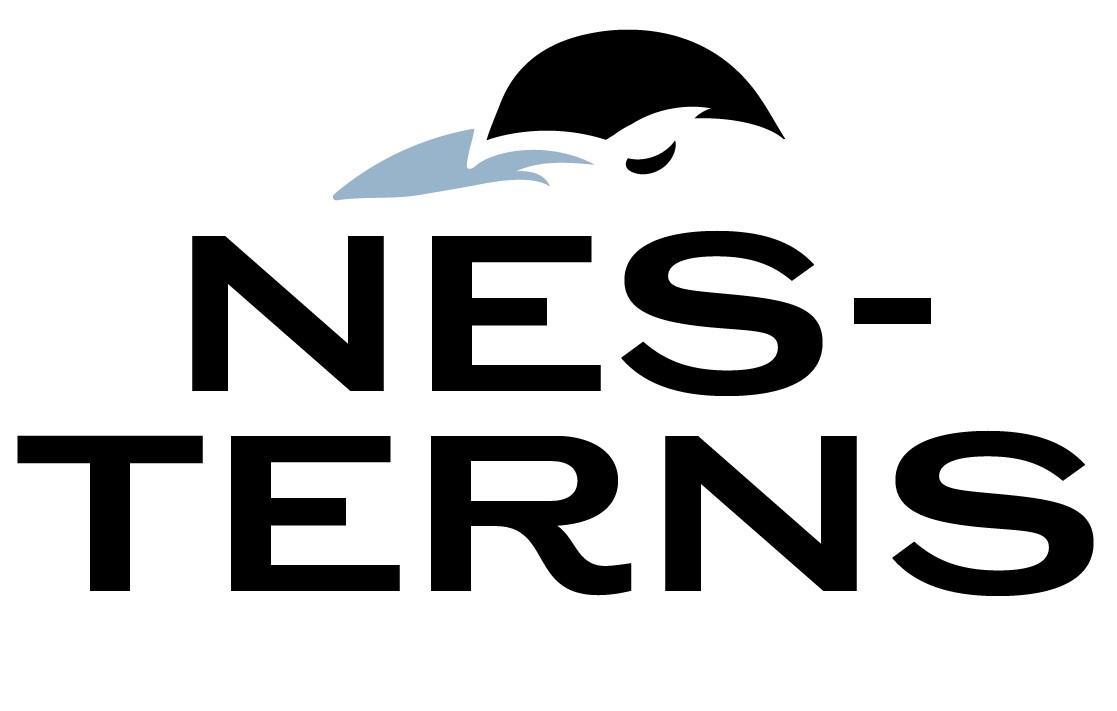 NES-TERNS logo