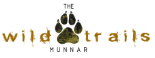 THE WILD TRAILS logo