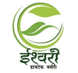 ISHWARI HITECH NURSERY logo
