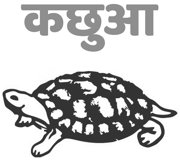KACHHUA logo