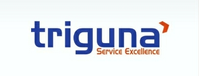 triguna - service excellence logo