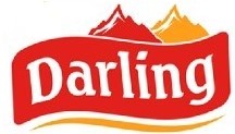 Darling logo