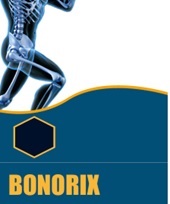 BONORIX logo