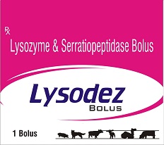 LYSODEZ BOLUS logo
