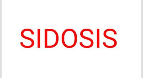 SIDOSIS logo