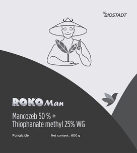 ROKOMAN logo