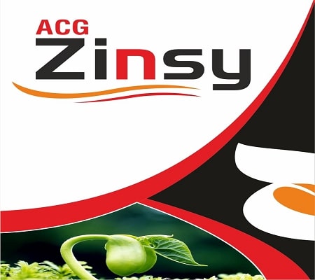 ACG ZINSY logo