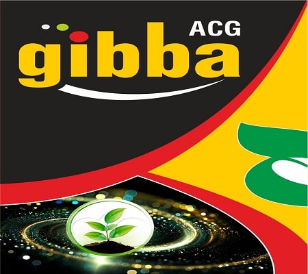 ACG GIBBA logo