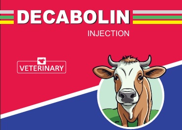 DECABOLIN INJECTION logo