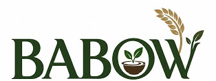 BABOW logo