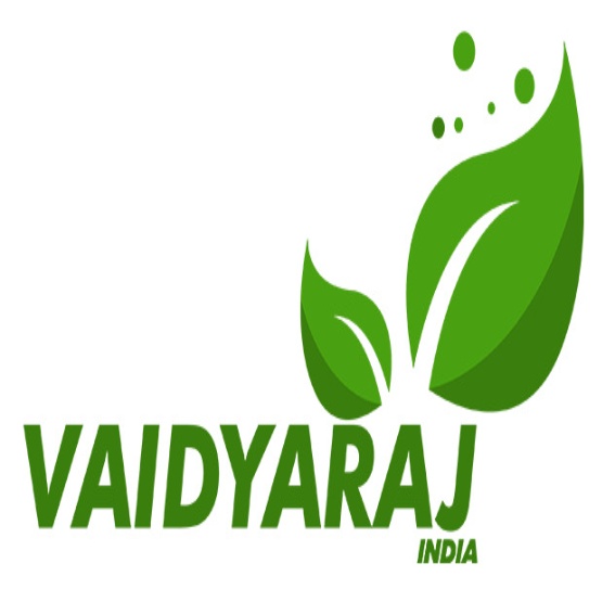 VAIDYARAJINDIA logo