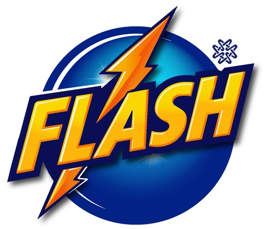 Modiway Flash logo