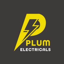 PLUM ELECTRICALS WITH DEVICE P logo