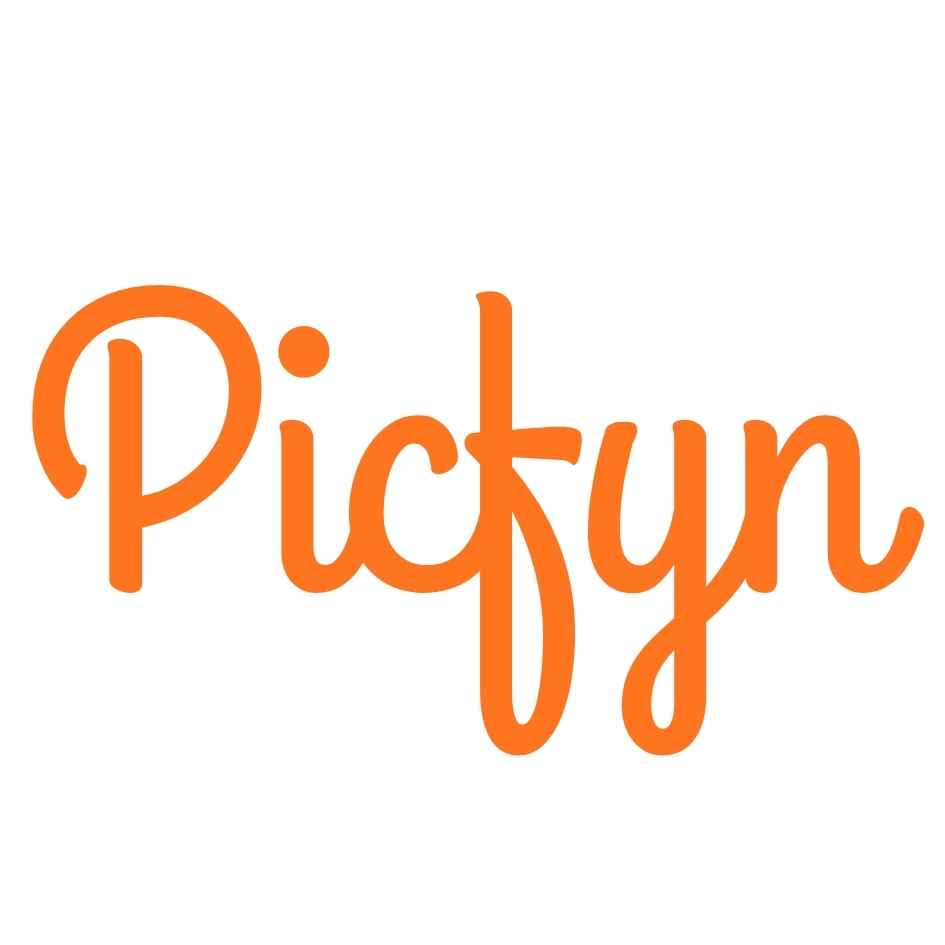 picfyn logo