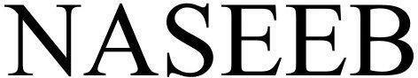 NASEEB logo
