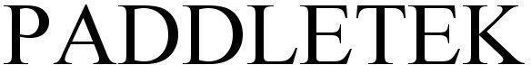 PADDLETEK logo