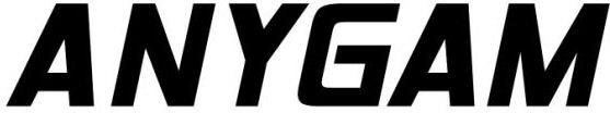 ANYGAM logo